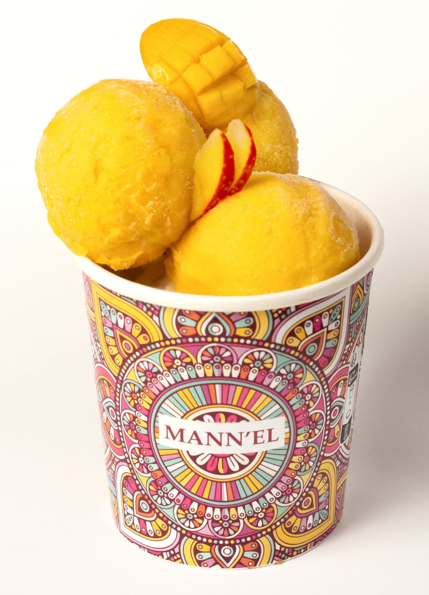 Mangue 480 ml